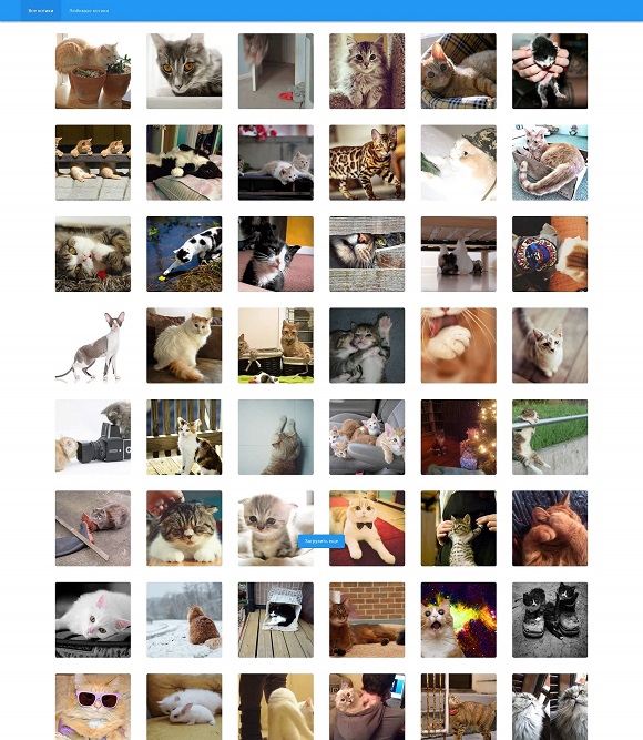 Frontend Cats